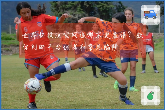 世界杯投注官网选哪家更靠谱？教你判断平台优劣和常见陷阱
