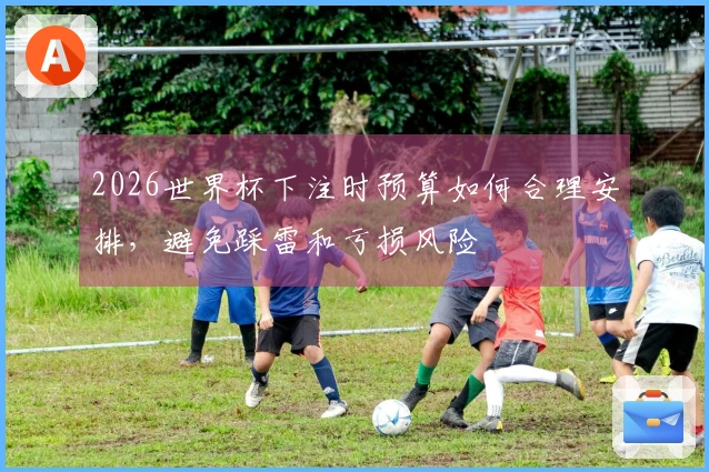 2026世界杯下注时预算如何合理安排，避免踩雷和亏损风险