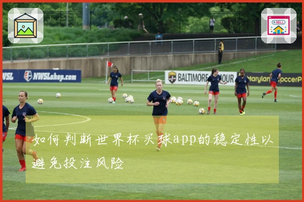 如何判断世界杯买球app的稳定性以避免投注风险