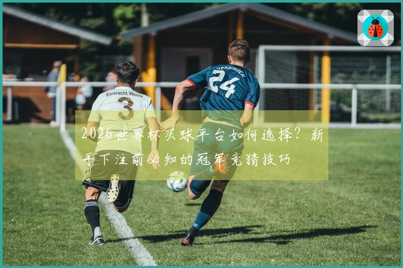 2026世界杯买球平台如何选择？新手下注前必知的冠军竞猜技巧
