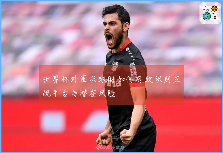 世界杯外围买球时如何有效识别正规平台与潜在风险